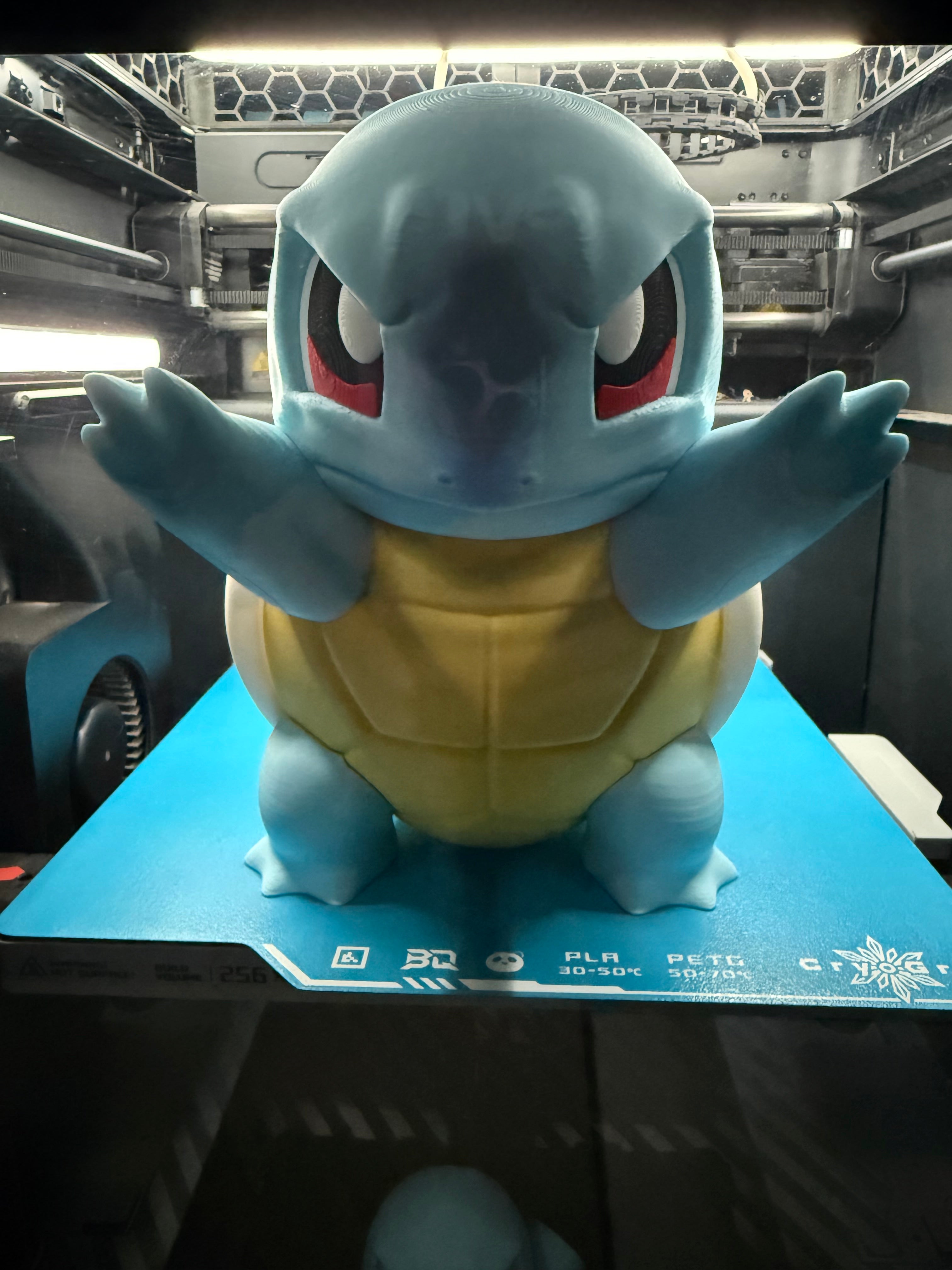 Window Pokémon Squirtle 3D Print